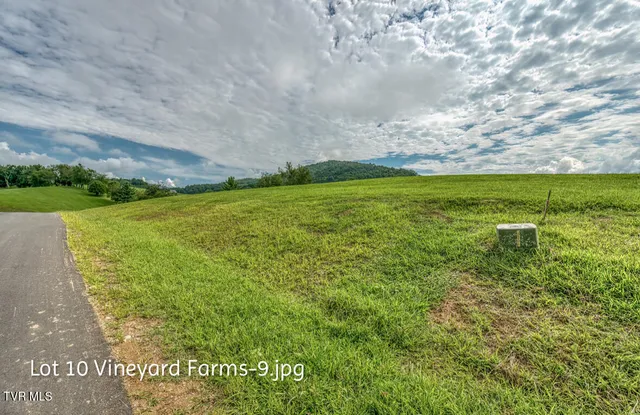 $158,000 | Lot 10 Dry Hill Road, Unit 10, Butler, TN 37640