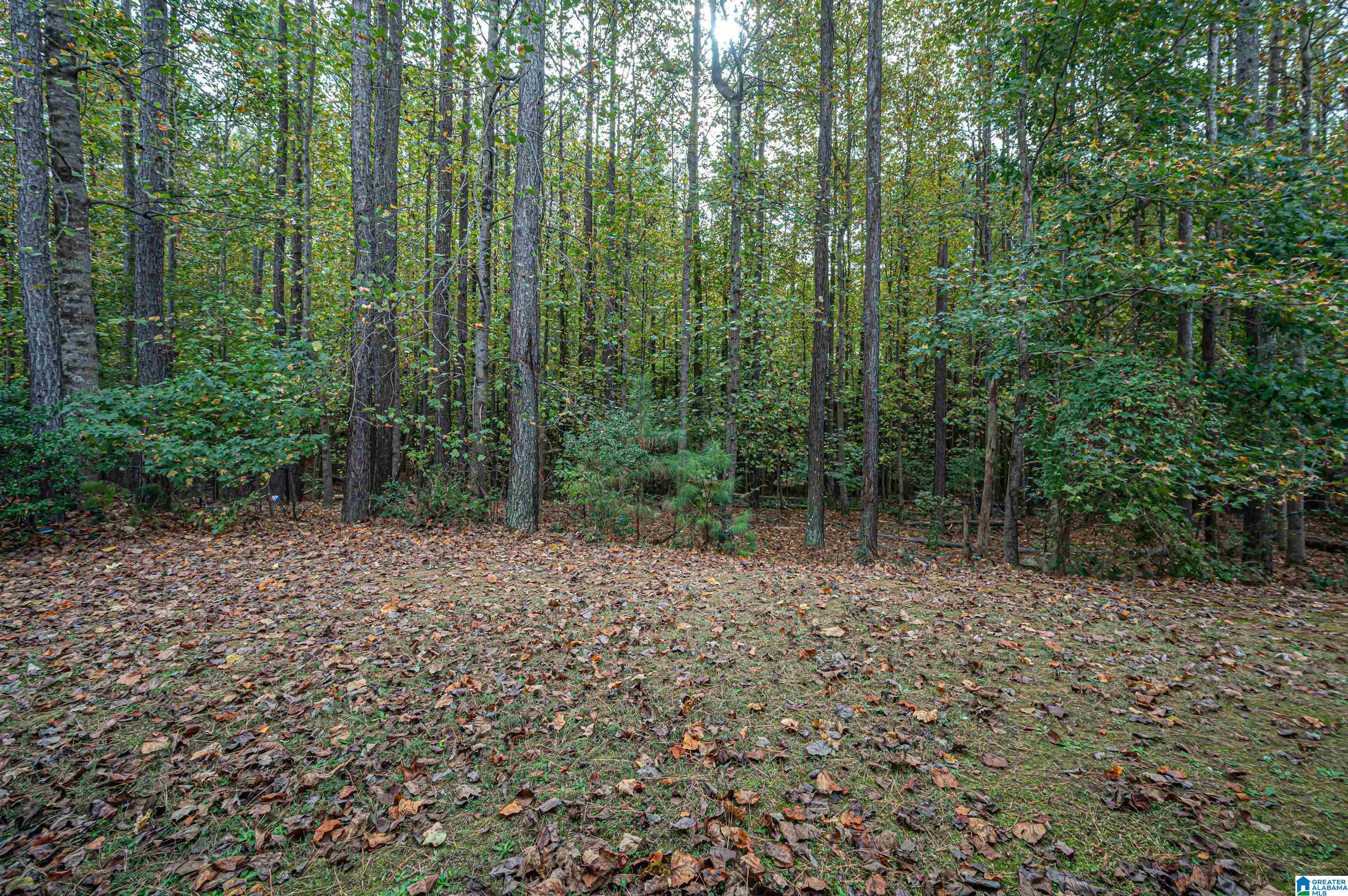 1444 Stoneykirk Road Pelham, AL 35124 - Photo 54 of 55
