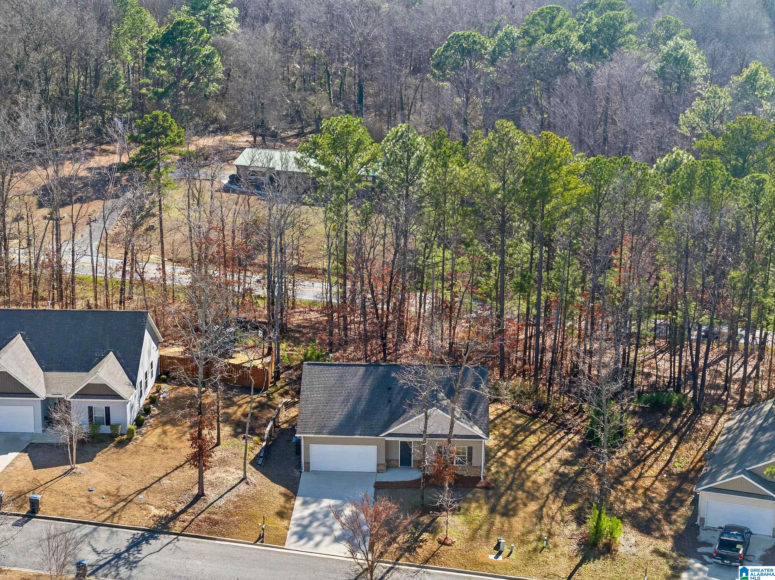742 Twin Ridge Circle Lincoln, AL 35096 - Photo 31 of 32