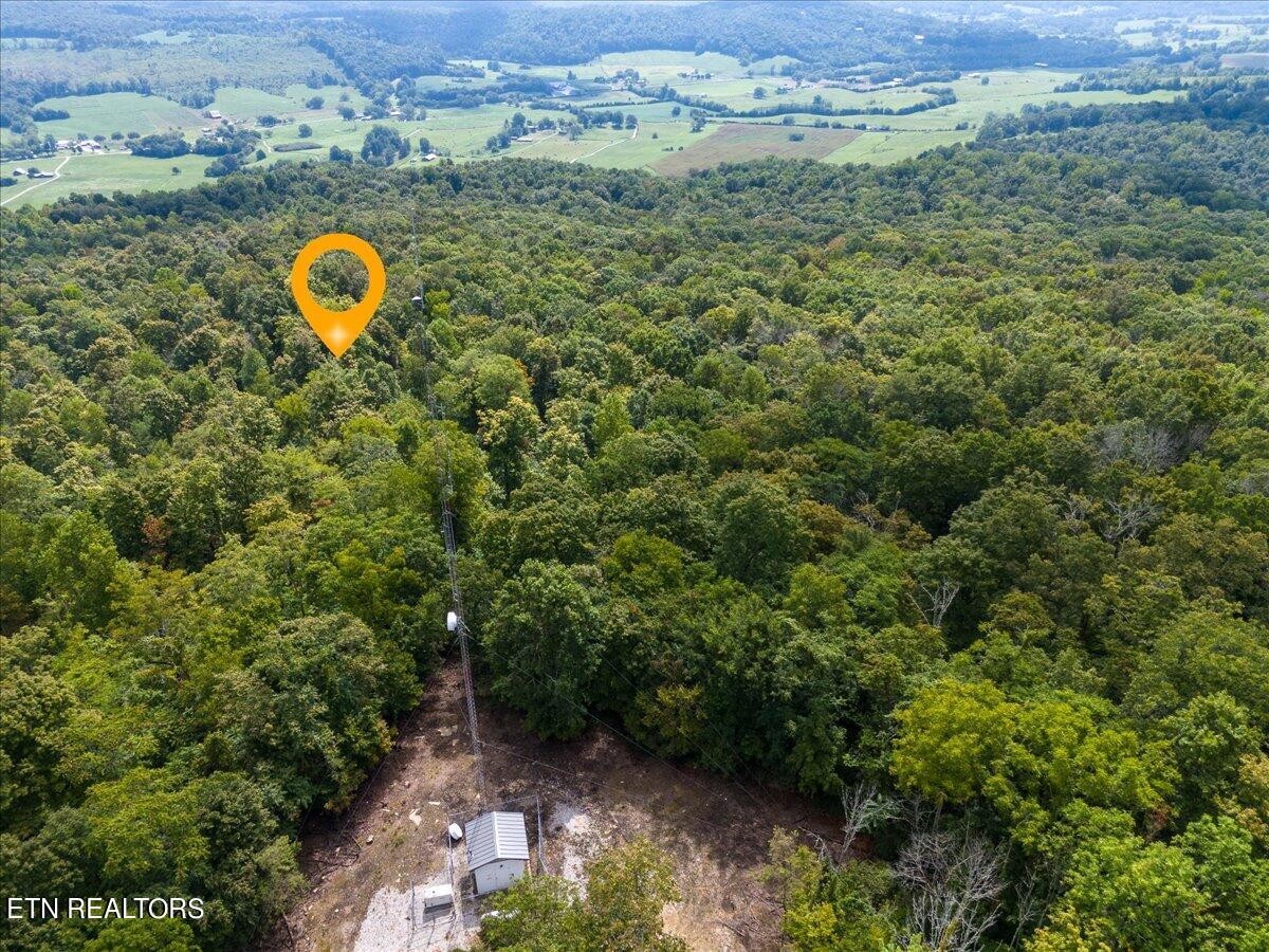 0 Fire Tower 23.2 Ac Road Sparta, TN 38583 - Photo 4 of 18 Gallery Image 4