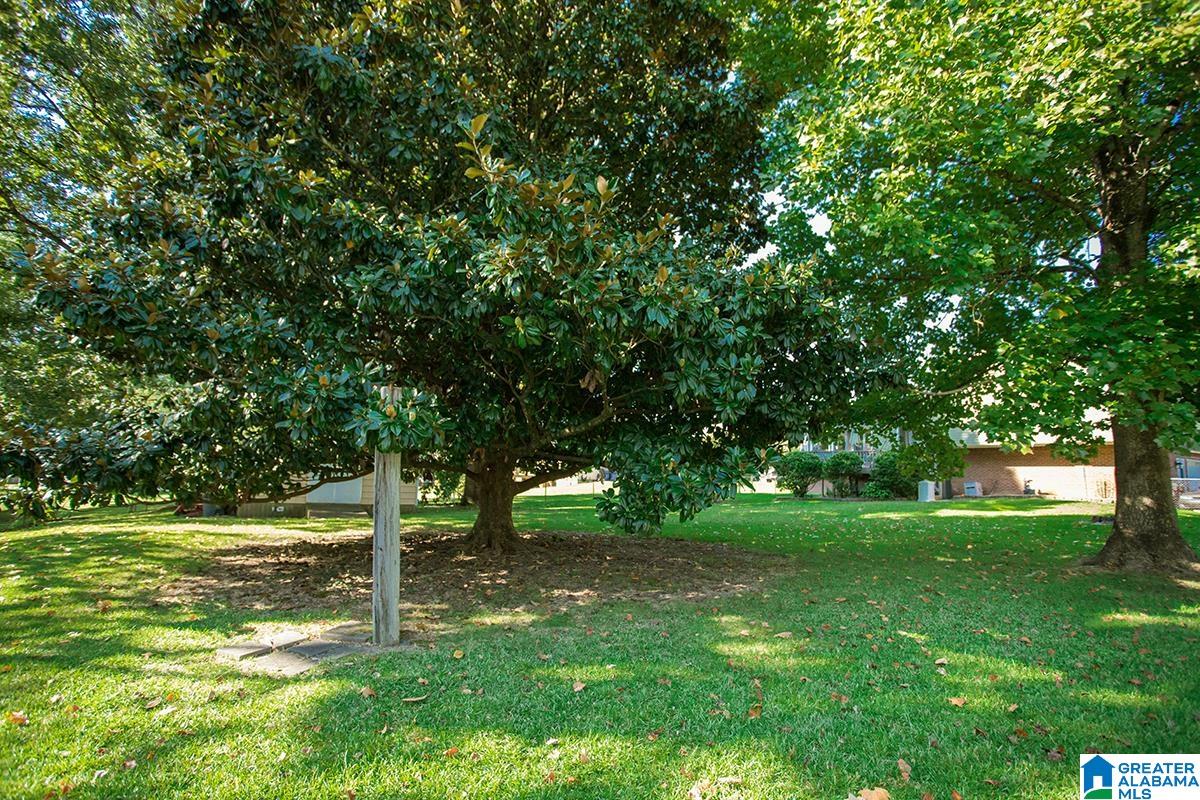 550 13th Street Southwest Alabaster, AL 35007 - Photo 34 of 39