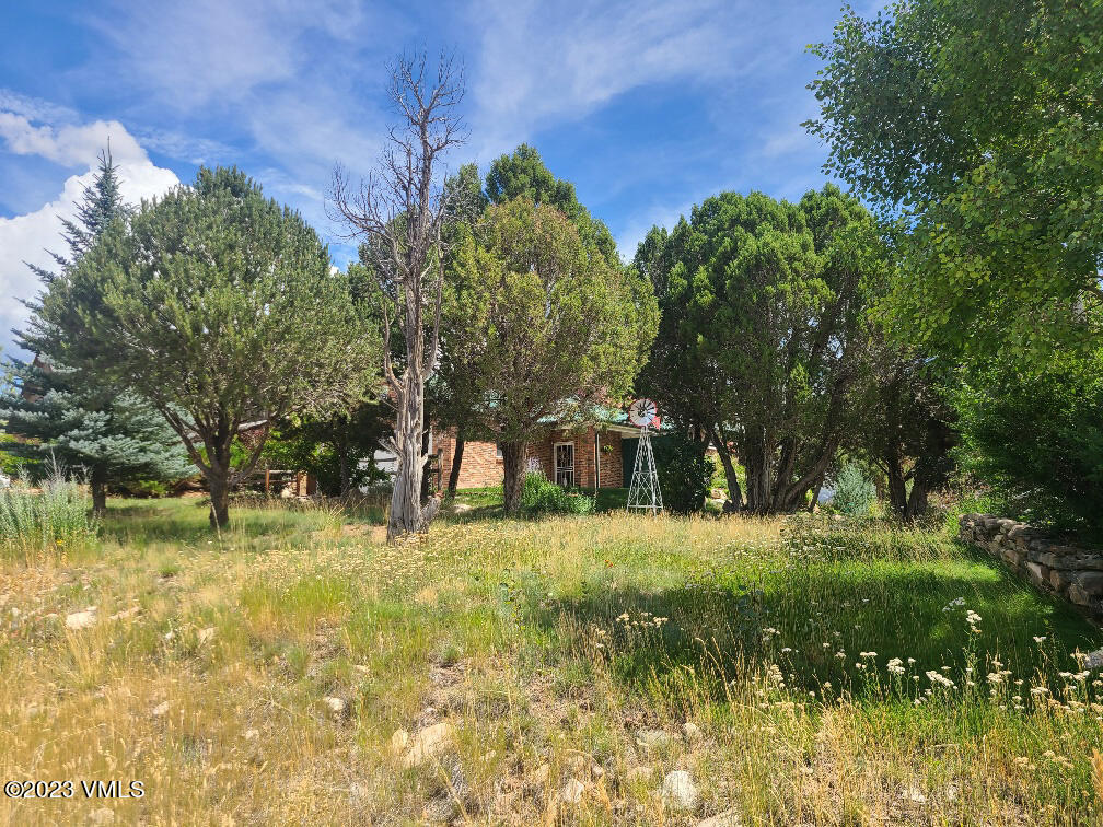 1072 Mesa Drive Eagle, CO 81631 - Photo 2 of 34 a backyard of a house with a yard and outdoor seating