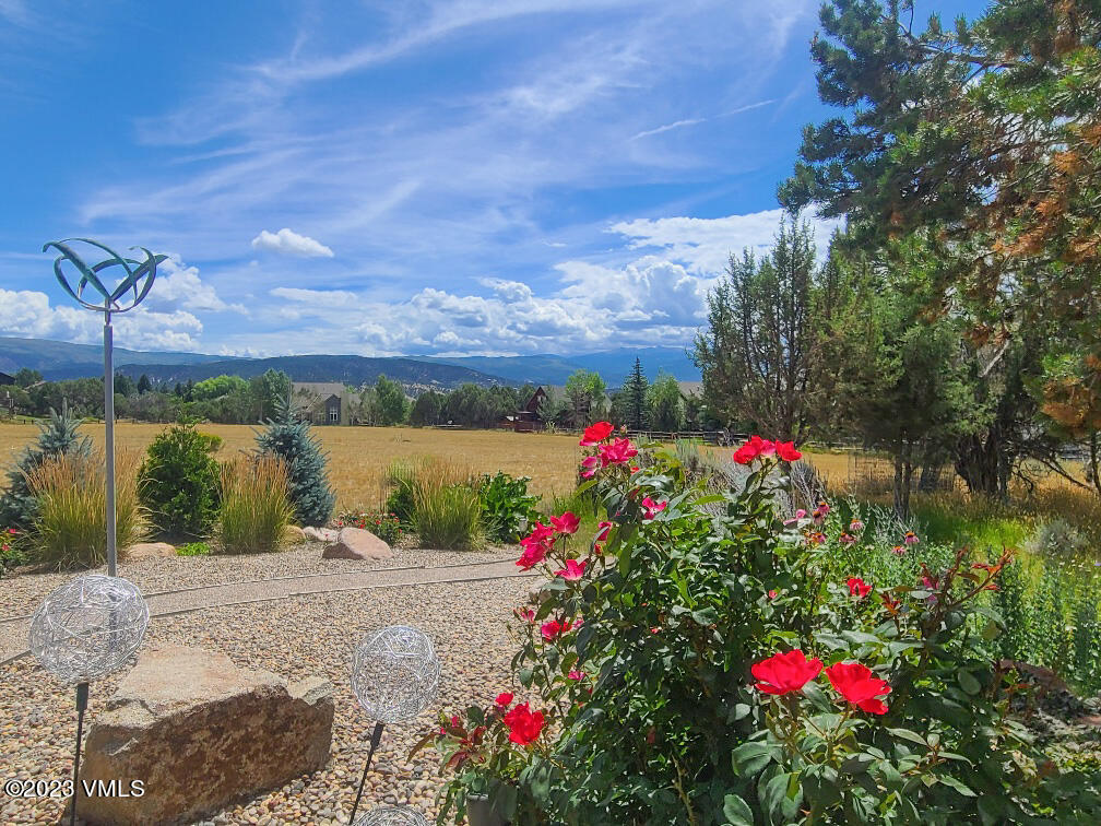 1072 Mesa Drive Eagle, CO 81631 - Photo 22 of 34 a view of a flower in a garden