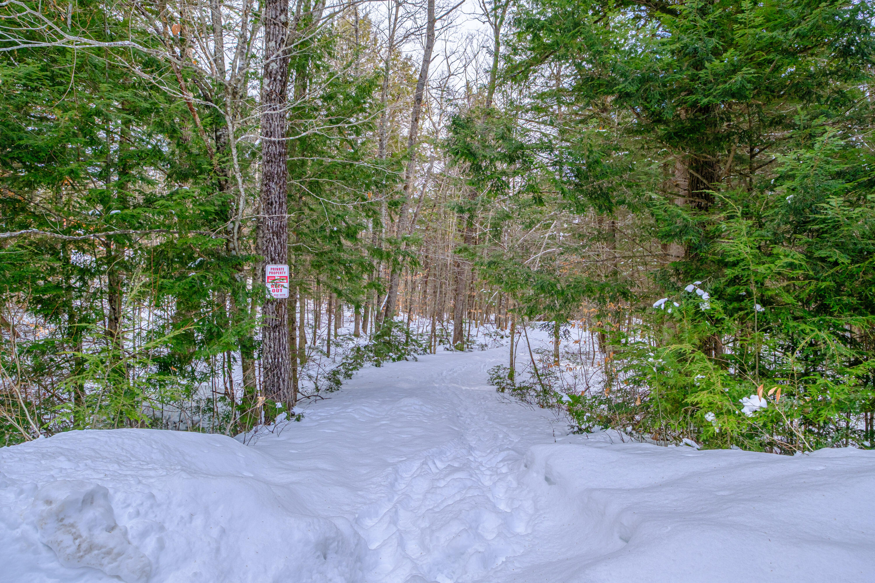 5 Whippoorwill Drive Naples, ME 04055 - Photo 79 of 101 20260123gp-60111