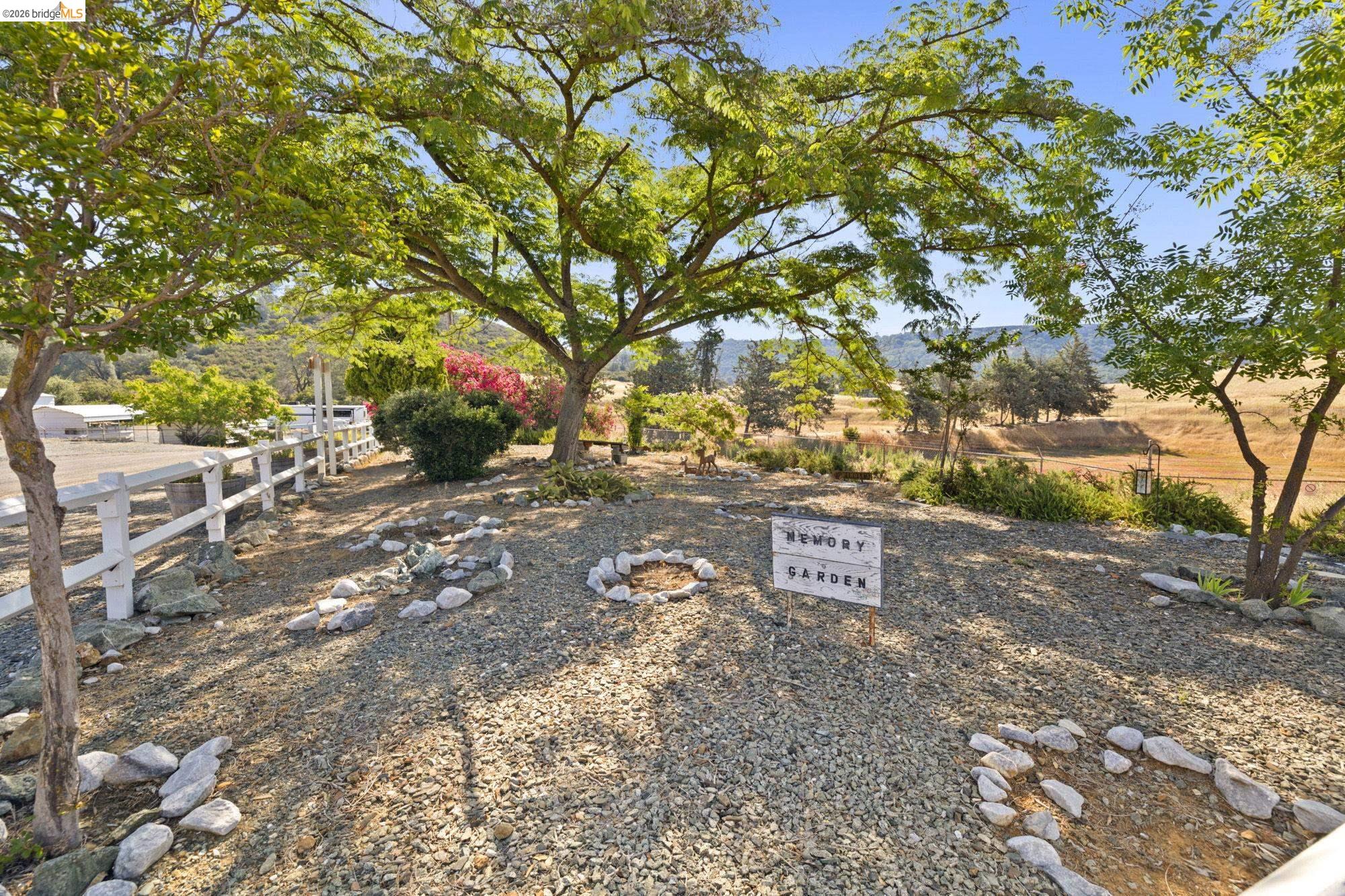 8400 Old Melones Road Jamestown, CA 95327 - Photo 6 of 23 a view of a street with a tree