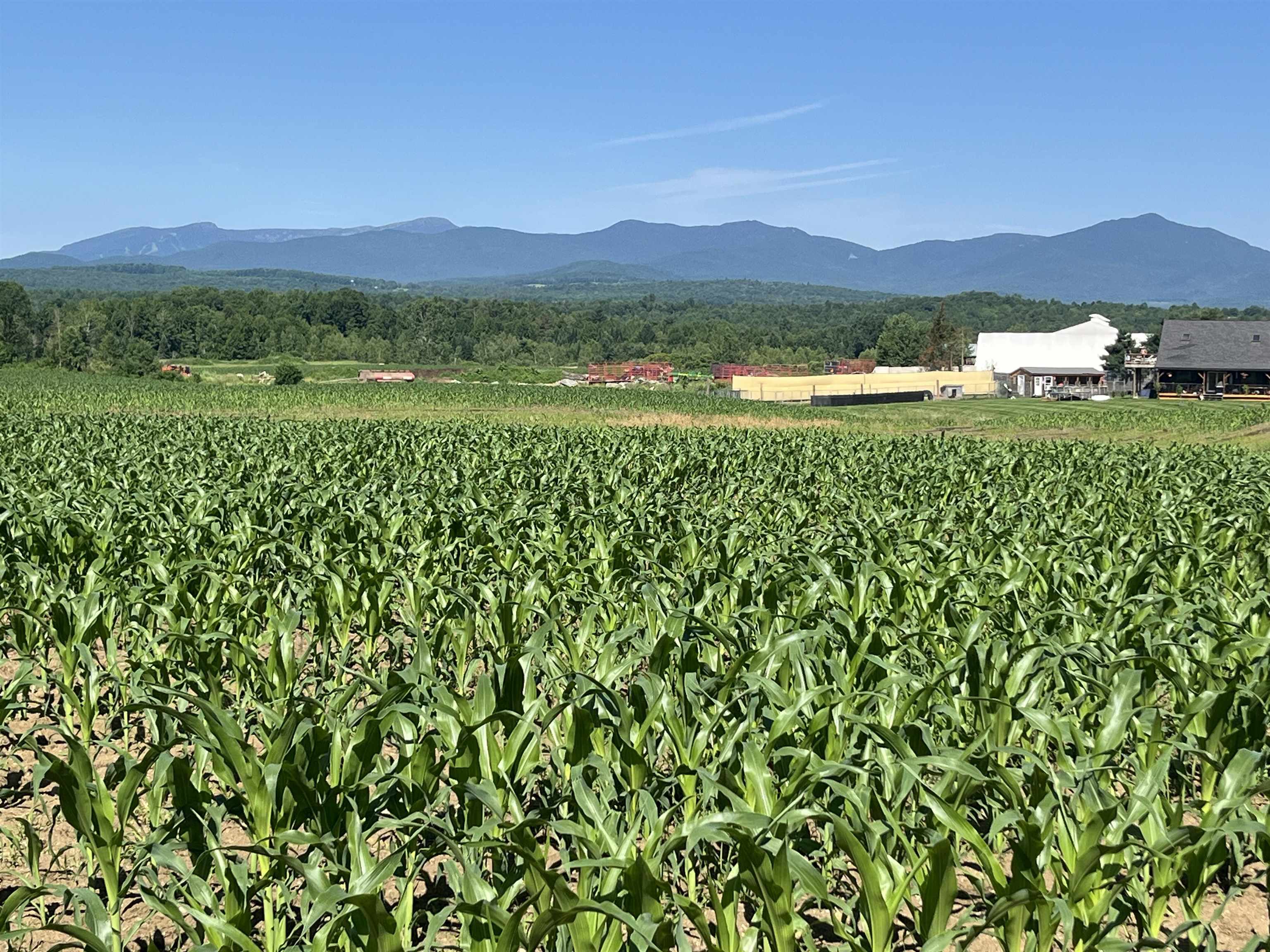 972 Fitzgerald Road, Unit LOT #4 Morristown, VT 05661 - Photo 2 of 12