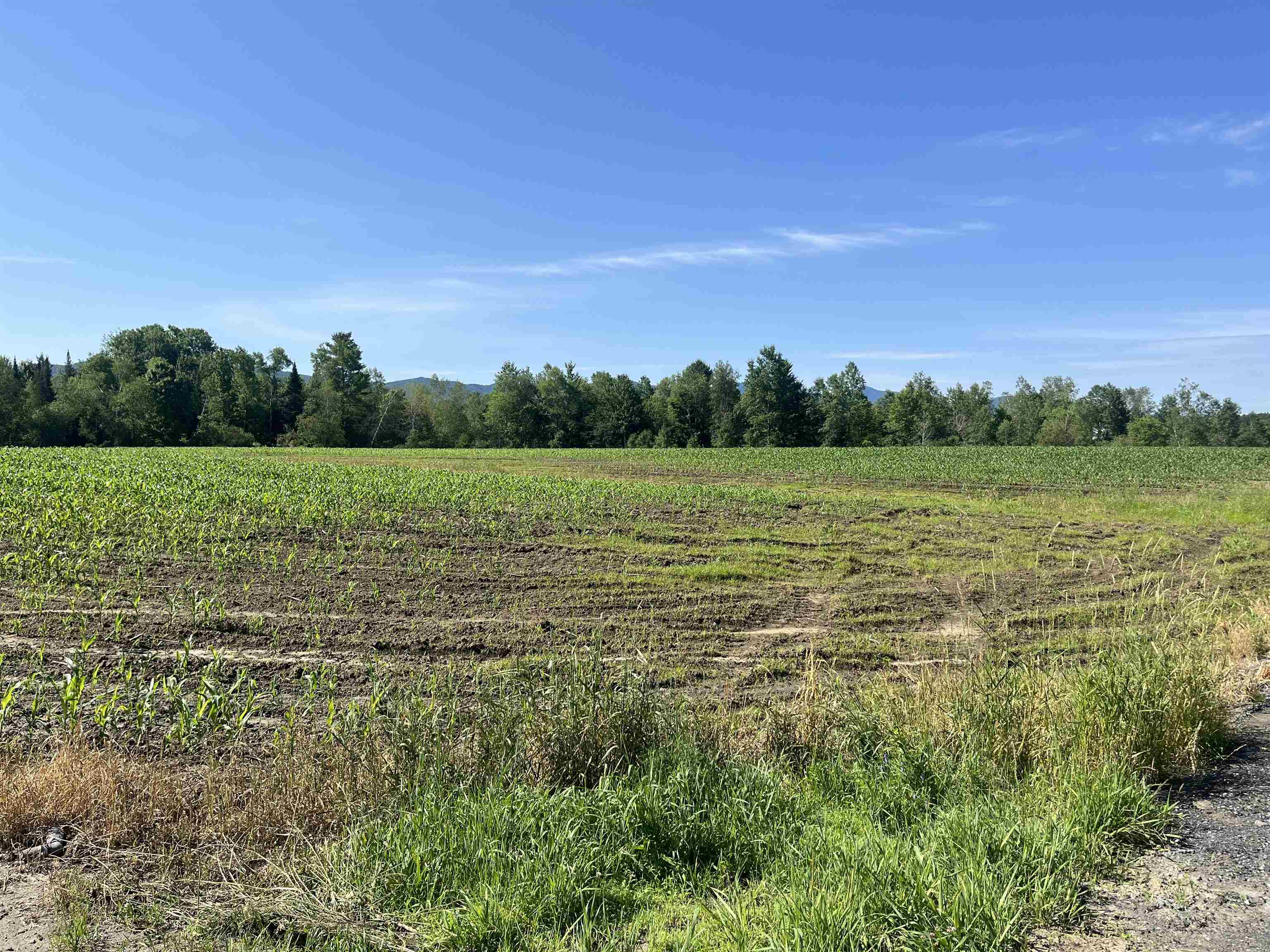 972 Fitzgerald Road, Unit LOT #4 Morristown, VT 05661 - Photo 8 of 12