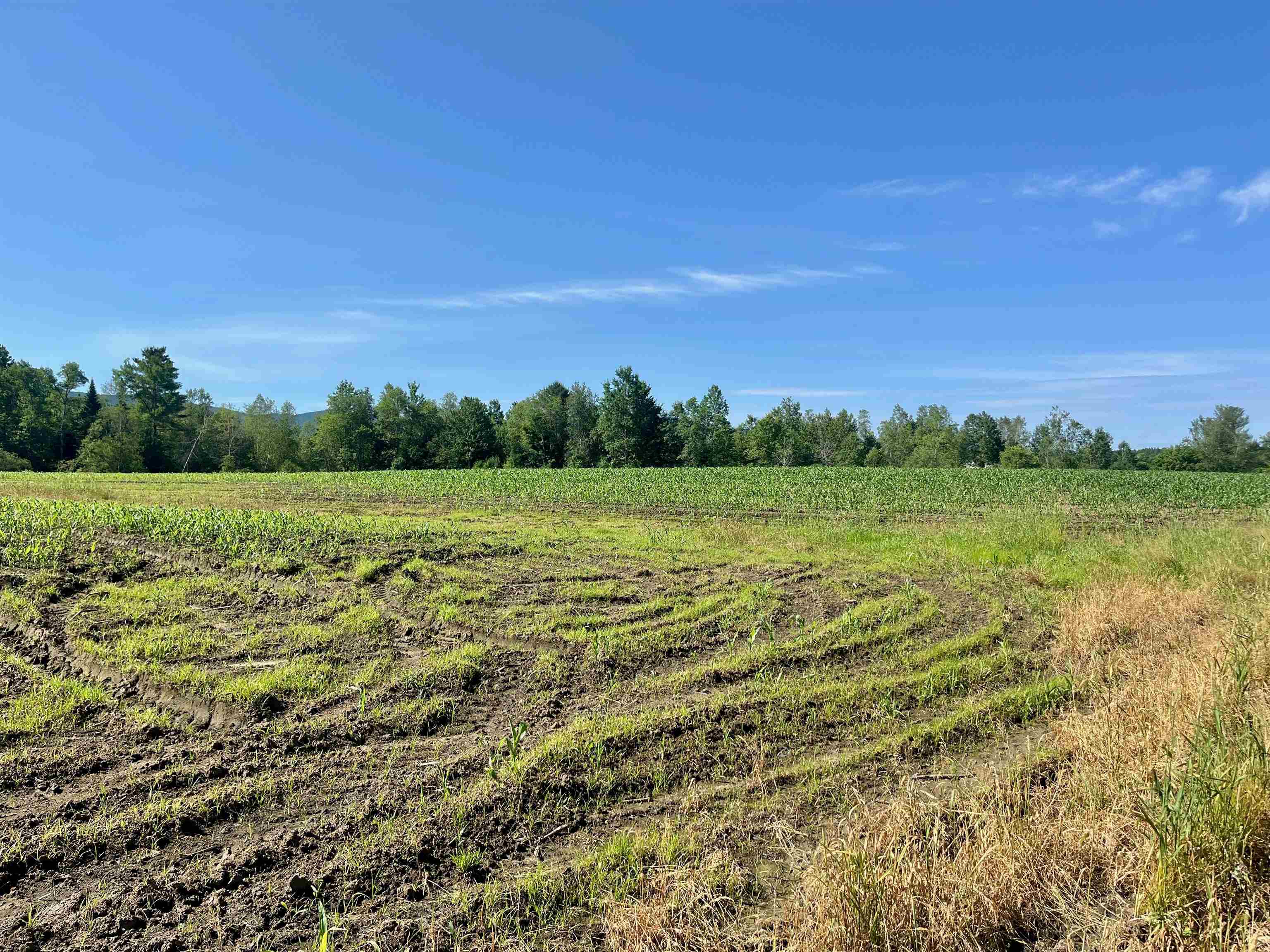 972 Fitzgerald Road, Unit LOT #4 Morristown, VT 05661 - Photo 9 of 12