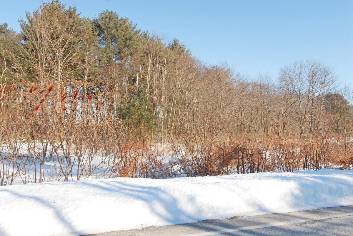61 Oak Ridge Road Biddeford, ME 04005 - Photo 27 of 33 Side Lot