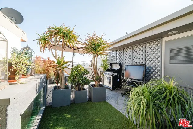 a living room with patio furniture and a potted plant