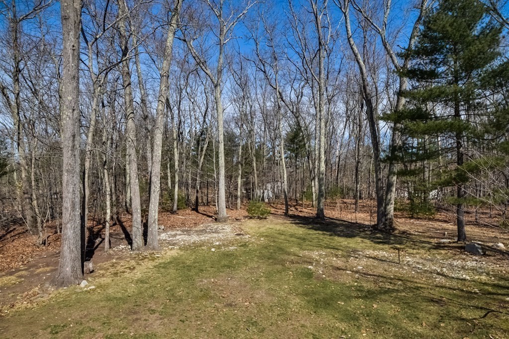 30 Indian Ridge Road Natick, MA 01760 - Photo 30 of 30 Gallery Image 30