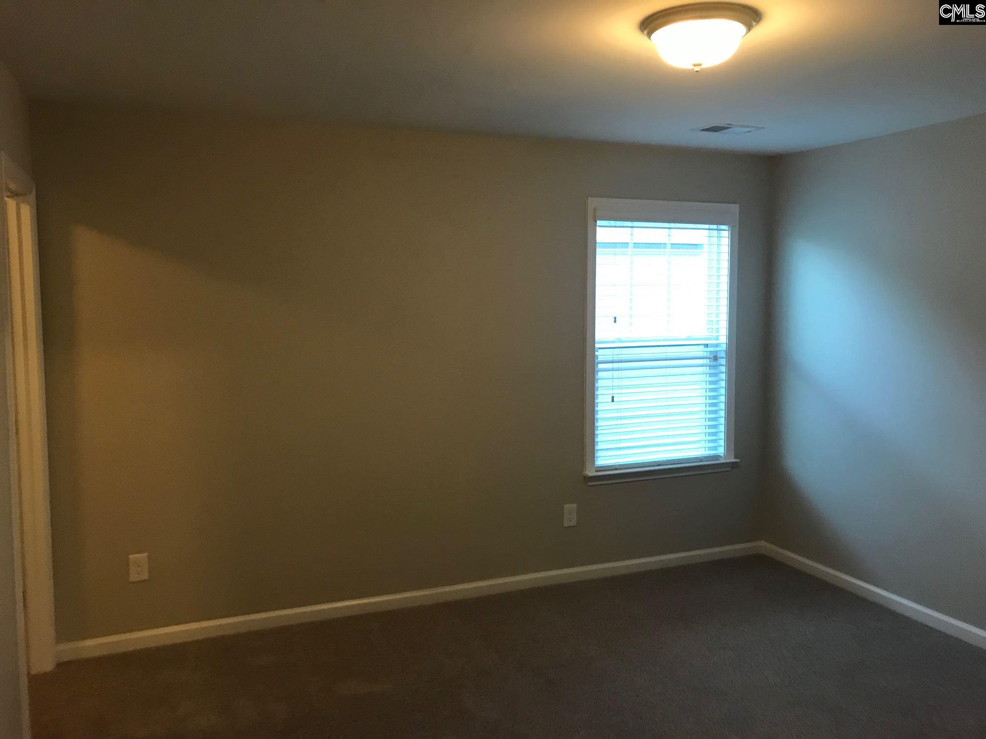 374 Hollow Cove Road Chapin, SC 29036 - Photo 19 of 22