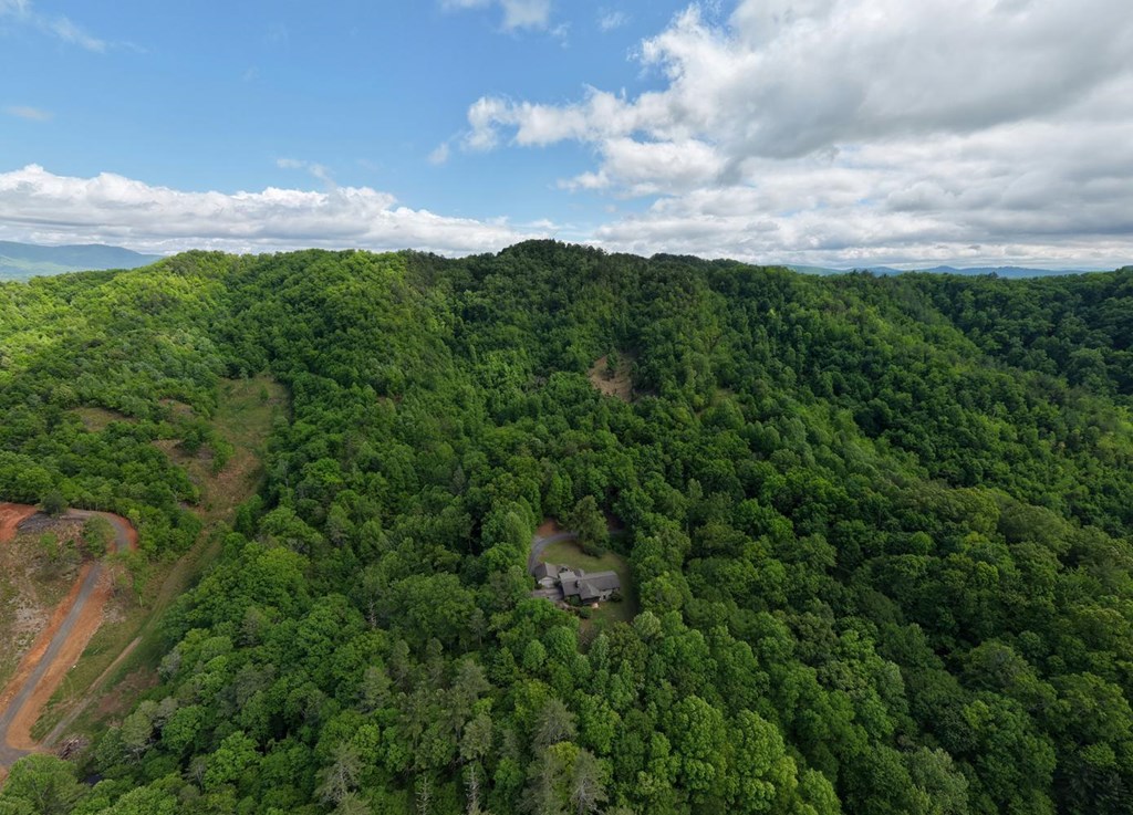 874 Deer Hill Road Murphy, NC 28906 - Photo 53 of 54