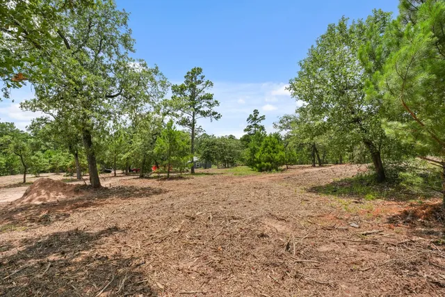 a view of dirt yard with a trees