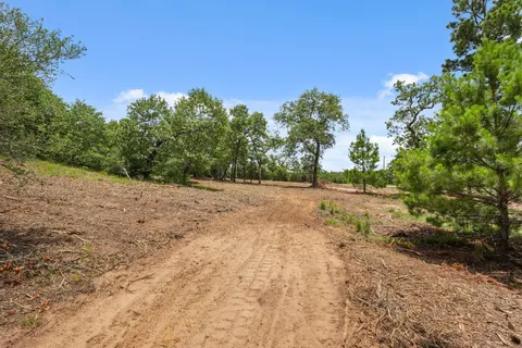 a view of dirt yard with a trees