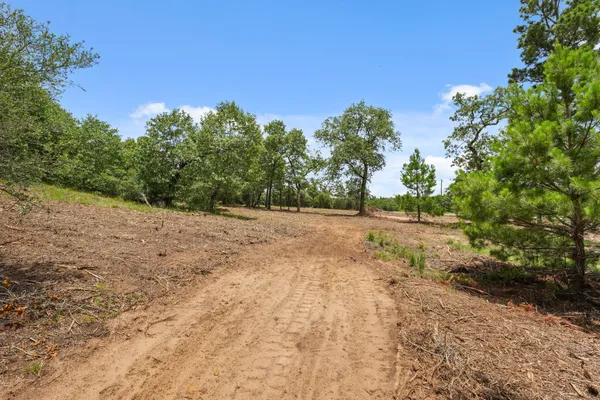 a view of dirt yard with a tree