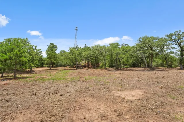 a view of a yard with an tree