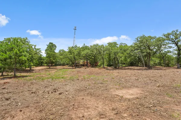 a view of a yard with a tree