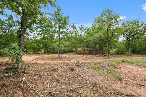 a view of backyard with green space
