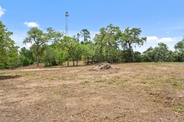 a view of backyard with tree