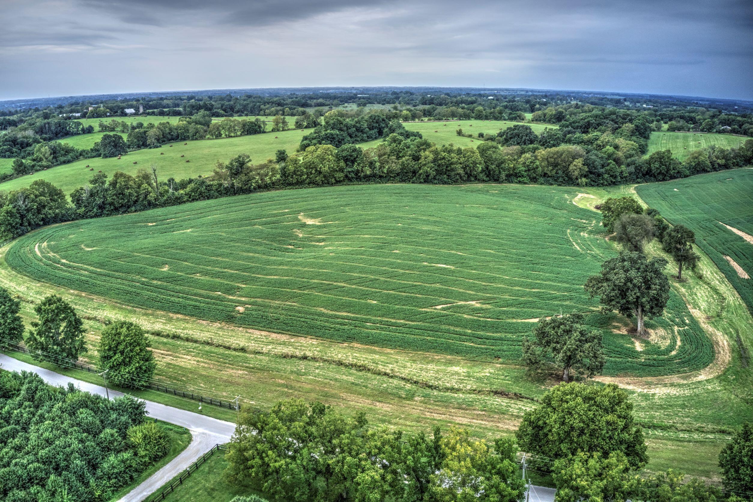250 Redmon Road Paris, KY 40361 - Photo 17 of 22 DJI_0537 250 Redmon Road Paris resized