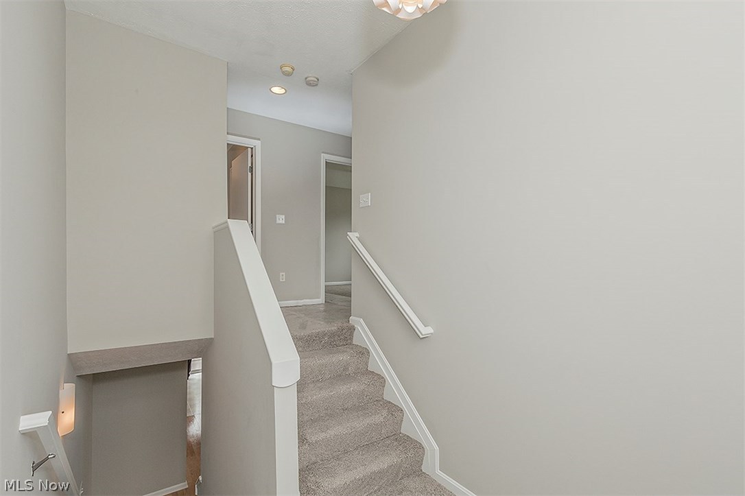829 Nela View Road Cleveland Heights, OH 44112 - Photo 15 of 22