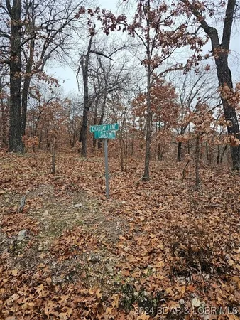 $5,500 | Lot 1448 Charlap Lane, Edwards, MO 65326