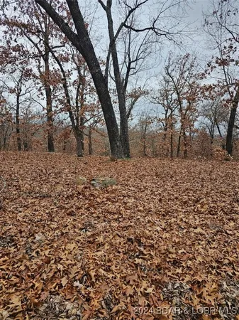 $5,500 | Lot 1448 Charlap Lane, Edwards, MO 65326