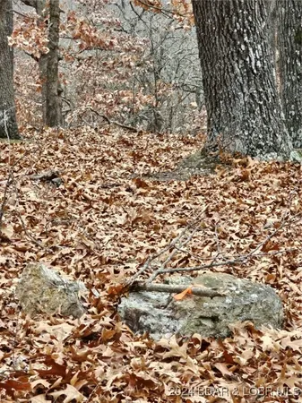 $5,500 | Lot 1448 Charlap Lane, Edwards, MO 65326