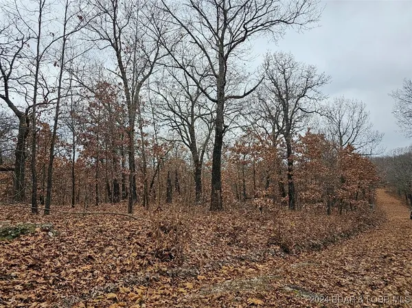 $5,500 | Lot 1448 Charlap Lane, Edwards, MO 65326