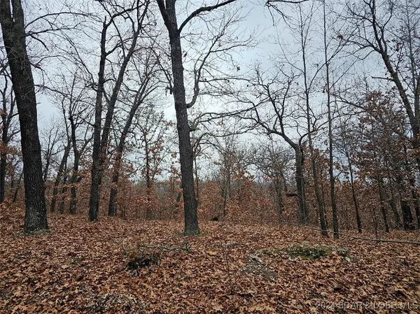 $5,500 | Lot 1448 Charlap Lane, Edwards, MO 65326