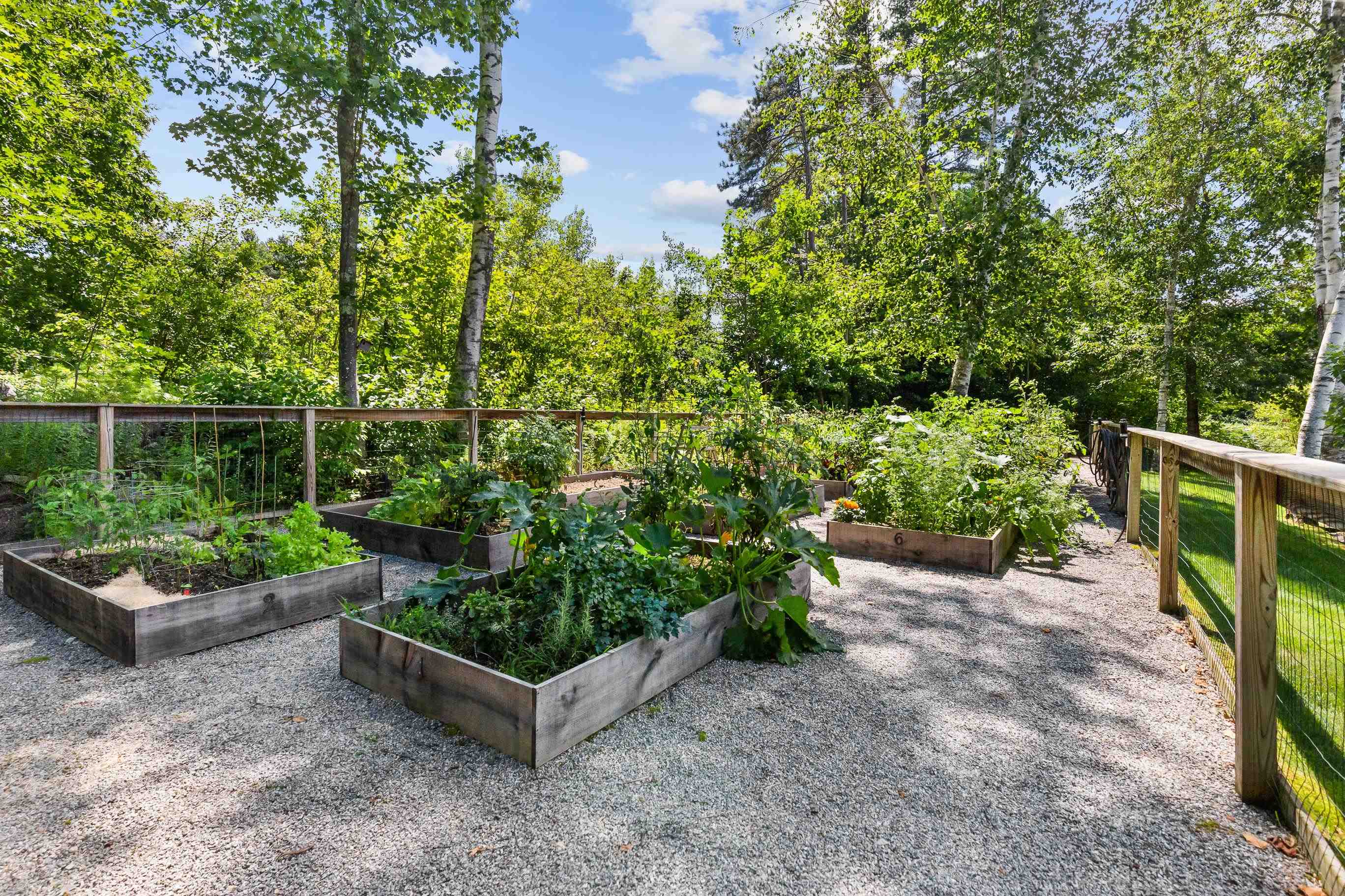 23 Deadreckoning Point Laconia, NH 03246 - Photo 31 of 45