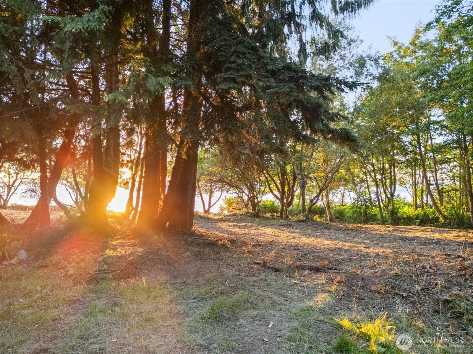 0 Haada Laas Road Port Townsend, WA 98368 - Photo 4 of 40 Gallery Image 4