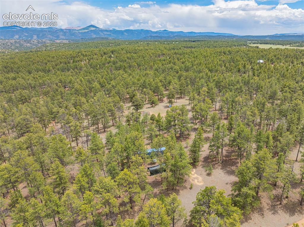 4250 Doe Valley Road Guffey, CO 80820 - Photo 30 of 35