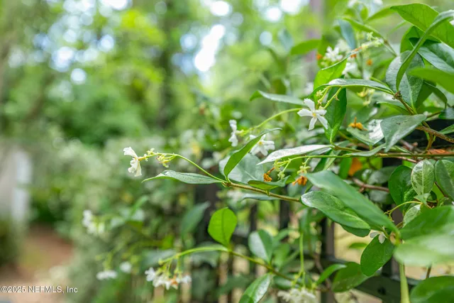 $659,900 | 12852 Longview Drive West, Jacksonville, FL 32223