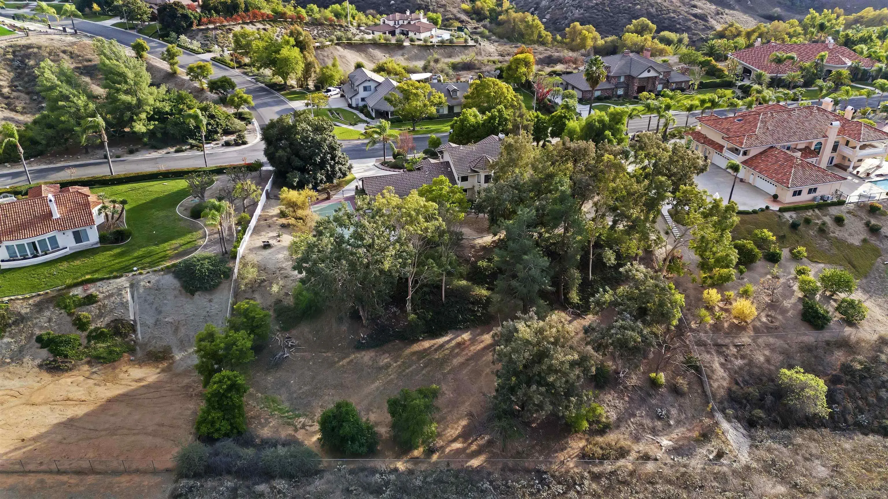 2109 Old Bridge Road Riverside, CA 92506 - Photo 54 of 57 a view of a garden with plants