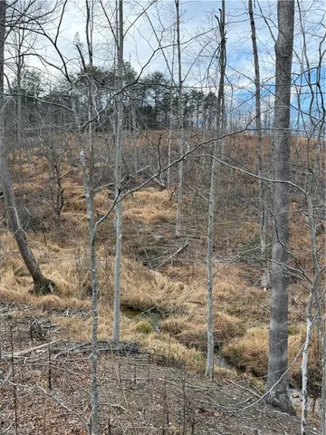$149,900 | 19.25-ac Pork Trail, Pinnacle, NC 27043