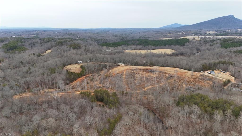 19.25-ac Pork Trail Pinnacle, NC 27043 - Photo 11 of 23