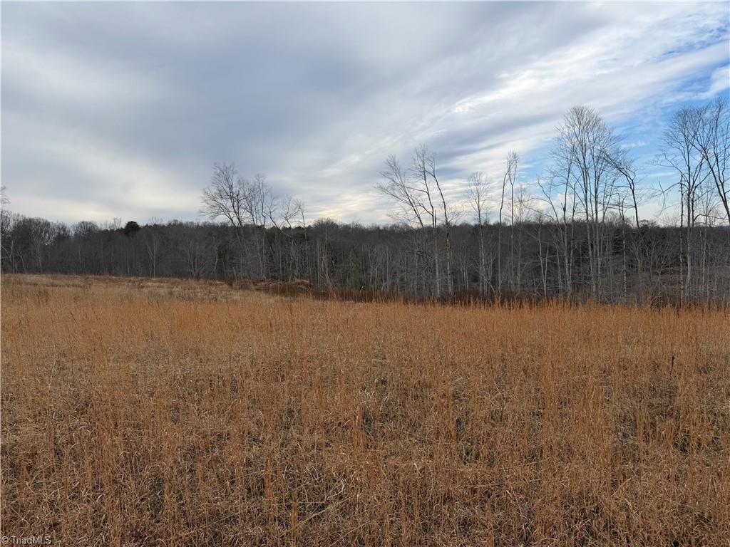 19.25-ac Pork Trail Pinnacle, NC 27043 - Photo 15 of 23