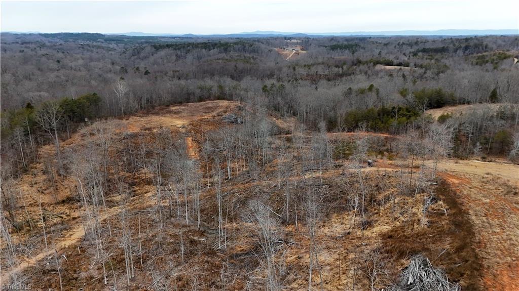 19.25-ac Pork Trail Pinnacle, NC 27043 - Photo 2 of 23