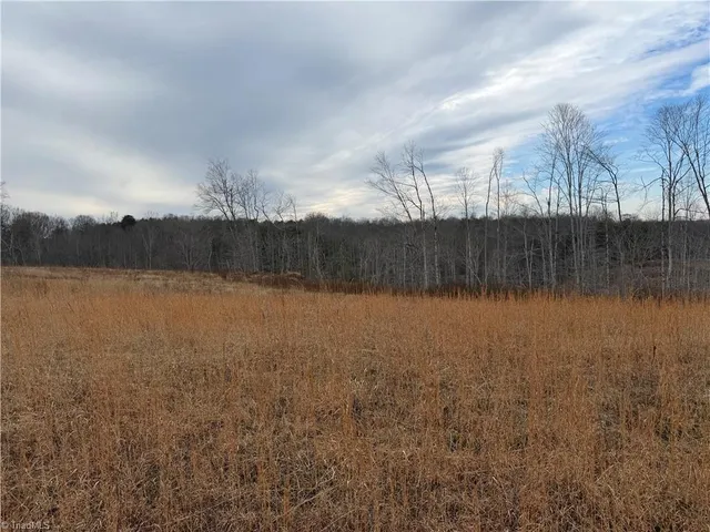 $149,900 | 19.25-ac Pork Trail, Pinnacle, NC 27043