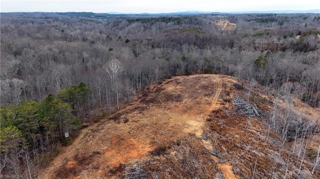 19.25-ac Pork Trail Pinnacle, NC 27043 - Photo 3 of 23