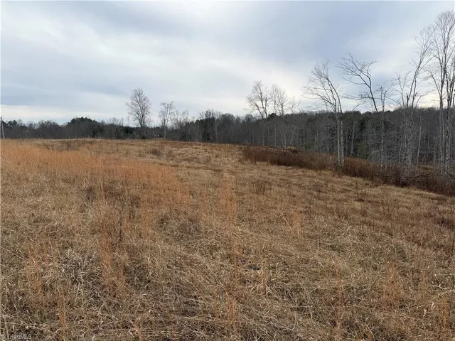 $149,900 | 19.25-ac Pork Trail, Pinnacle, NC 27043