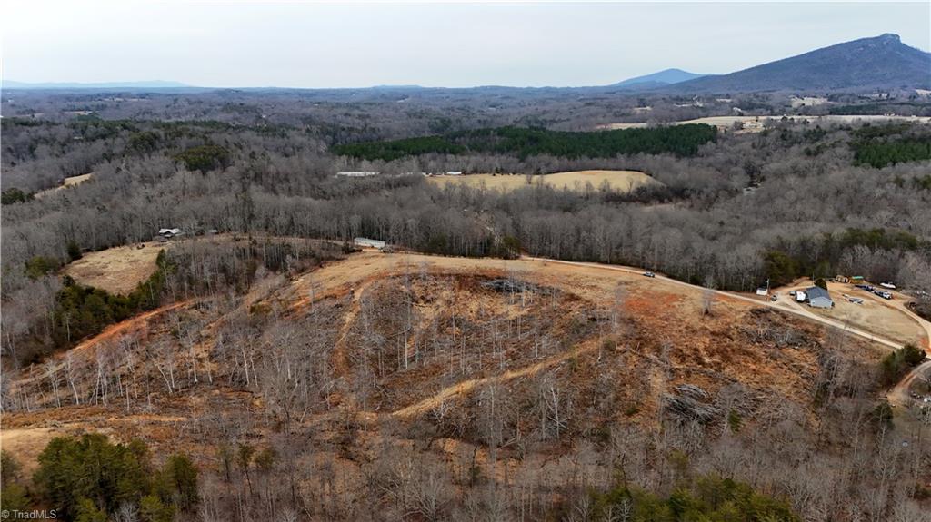 19.25-ac Pork Trail Pinnacle, NC 27043 - Photo 4 of 23