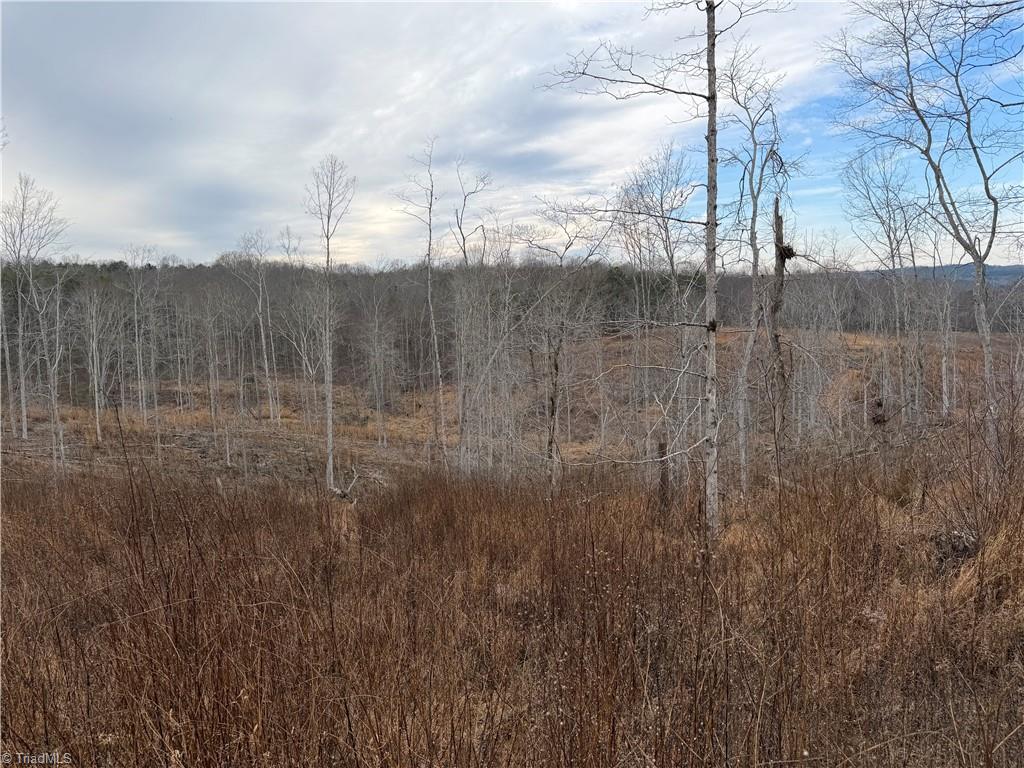 19.25-ac Pork Trail Pinnacle, NC 27043 - Photo 4 of 11