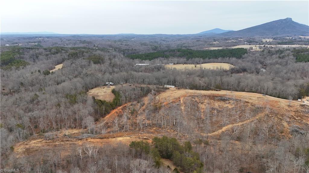 19.25-ac Pork Trail Pinnacle, NC 27043 - Photo 5 of 23