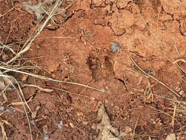 $149,900 | 19.25-ac Pork Trail, Pinnacle, NC 27043