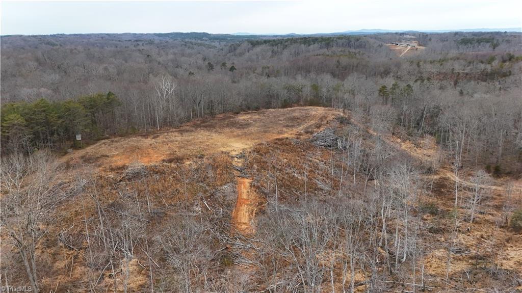 19.25-ac Pork Trail Pinnacle, NC 27043 - Photo 6 of 23