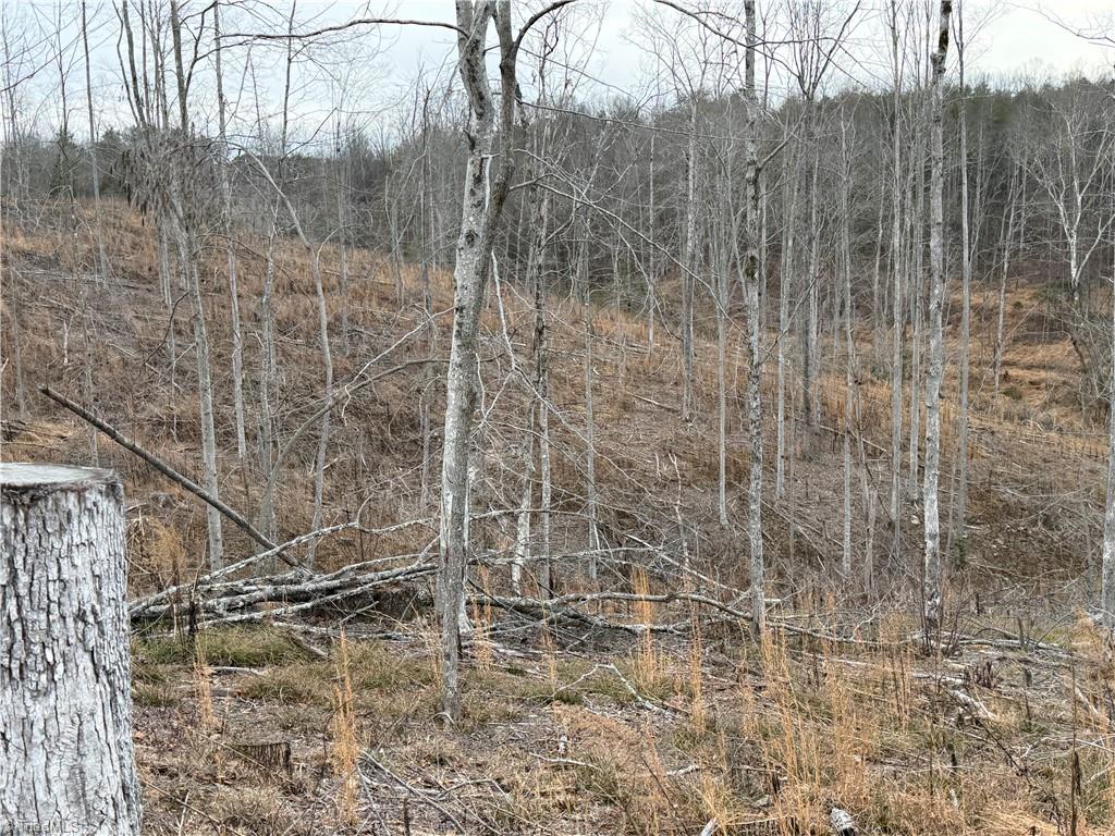 19.25-ac Pork Trail Pinnacle, NC 27043 - Photo 6 of 11