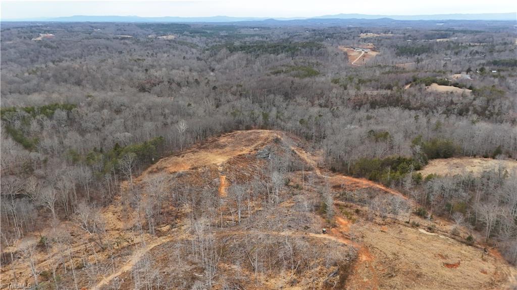 19.25-ac Pork Trail Pinnacle, NC 27043 - Photo 7 of 23
